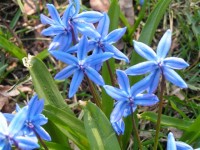 /album/polsko-2/pict0069-small-jpg/